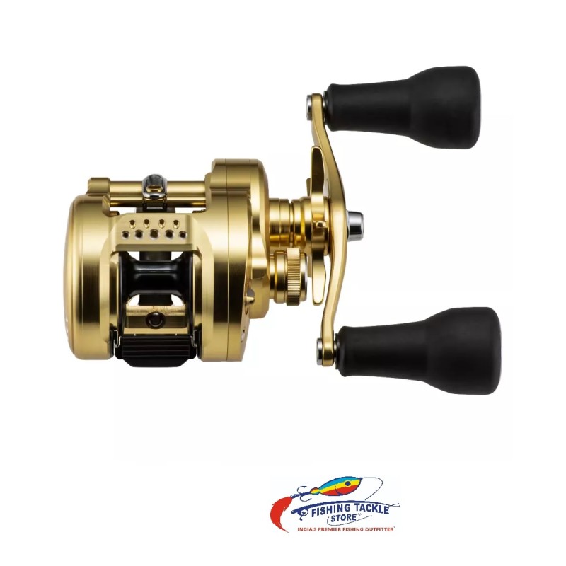 SHIMANO - 2023 - CALCUTTA CONQUEST MD - 301XGLH